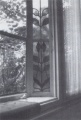 1989 Villa Metzger - Jugendstilfenster.jpg