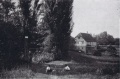 1961 Merzenmühle.jpg